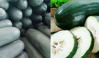 毕生之研吃瓜,揭秘“吃瓜群众”背后的心理奥秘