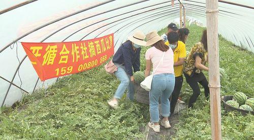 徽州古道吃瓜群众,探寻历史足迹，品味民间瓜香