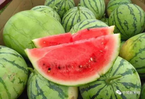 瓜妈吃瓜,揭秘娱乐圈那些不为人知的幕后故事