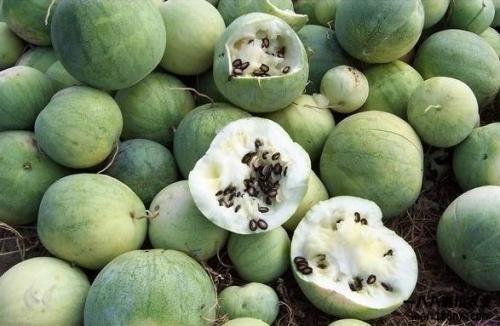 国人吃瓜花样,揭秘国人吃瓜花样百出的奇妙世界