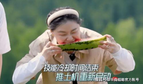 吃瓜努力的图片,揭秘娱乐圈幕后故事