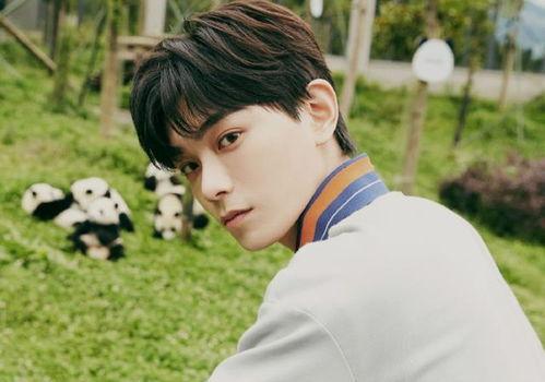 丁禹兮吃瓜,揭秘娱乐圈幕后故事