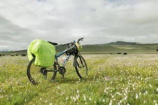 骑行途中吃瓜,瓜果飘香，一路畅享自然之旅