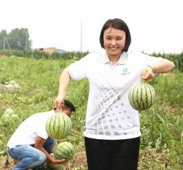 班长解忧大队吃瓜,校园里的“吃瓜”风云录